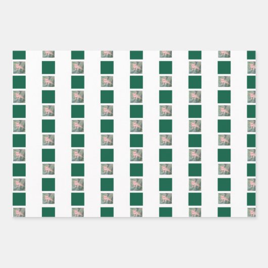 Weihnachtskätzchen Geschenkpapier Set (Vorderseite 2)