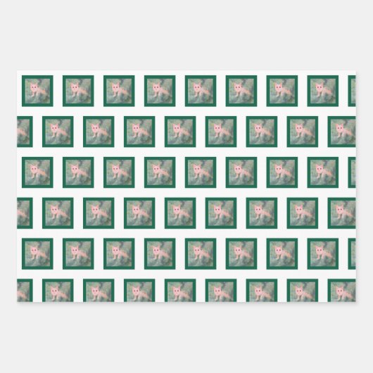 Weihnachtskätzchen Geschenkpapier Set (Vorderseite)