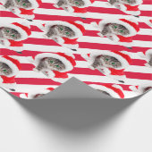 Weihnachtskätzchen in Hut auf Streifen Geschenkpapier (Ecke)