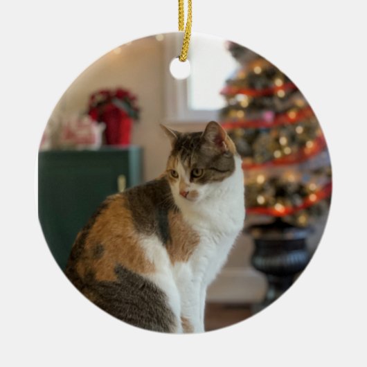 Weihnachtskätzchen Keramik Ornament (Vorne)