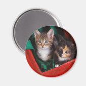 Weihnachtskätzchen Magnet (Vorderseite/Rückseite)