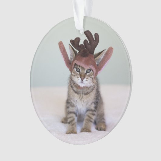 Weihnachtskätzchen Ornament (Vorderseite)