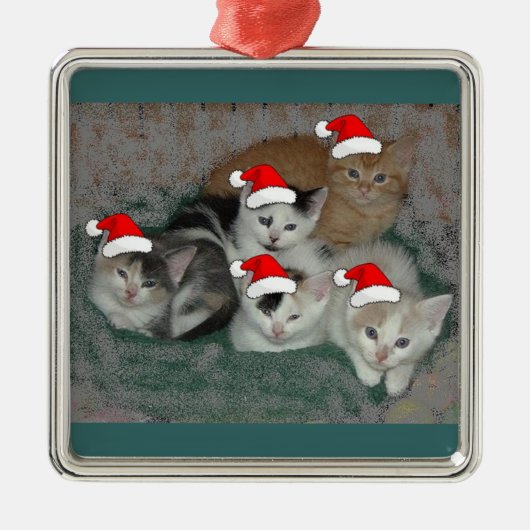 Weihnachtskätzchen Ornament Aus Metall (Vorne)