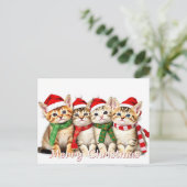 Weihnachtskatzchen Pet Lover Postkarte (Stehend Vorderseite)