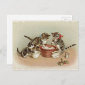 Weihnachtskätzchen - Pudding Feiertagspostkarte (Vorne/Hinten)