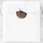 Weihnachtskätzchen Runder Aufkleber (Tasche)