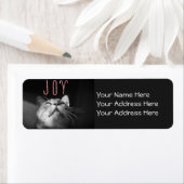 Weihnachtskatze (Insitu)