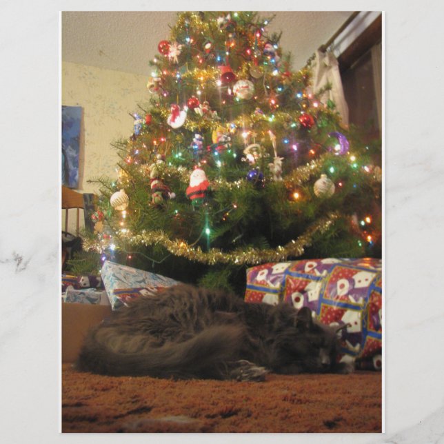 Weihnachtskatze (Vorderseite)