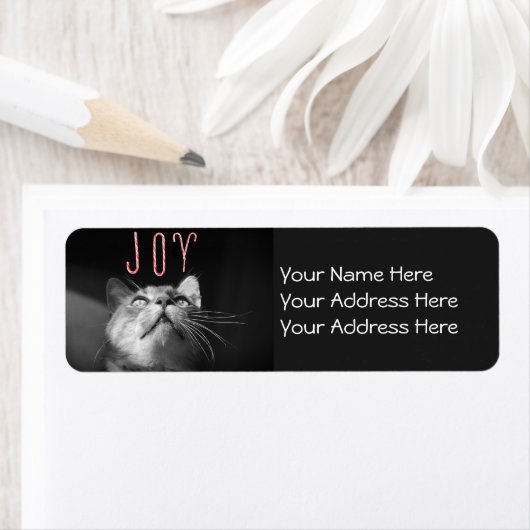 Weihnachtskatze (Insitu)