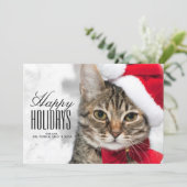 Weihnachtskatze an roter Sankt Hut Feiertagskarte (Stehend Vorderseite)