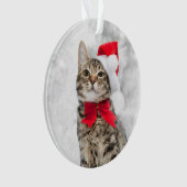 Weihnachtskatze an roter Sankt Hut nahe Ornament (Vorderseite)