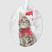 Weihnachtskatze an roter Sankt Hut nahe Ornament (Vorderseite)
