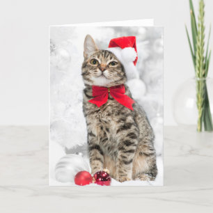 Weihnachtskatze auf Red Santa's Hat fast Weihnacht Feiertagskarte