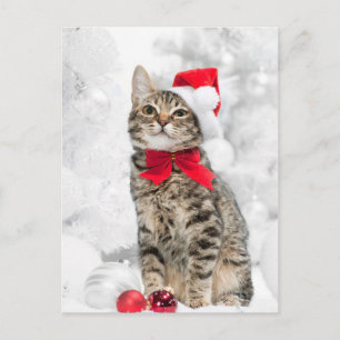 Weihnachtskatze auf Red Santa's Hat fast Weihnacht Feiertagspostkarte