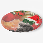 Weihnachtskatze auf Weihnachtskugel-Hintergrund Pappteller (Schrägansicht)