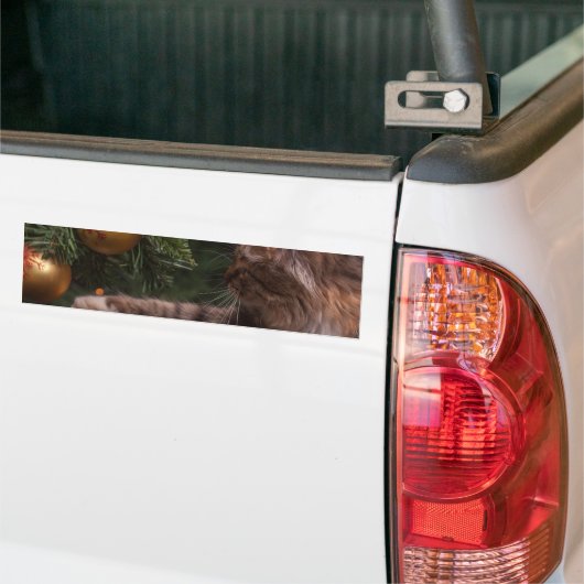 Weihnachtskatze Autoaufkleber (Auf Lkw)