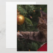 Weihnachtskatze Briefpapier (Vorne/Hinten)