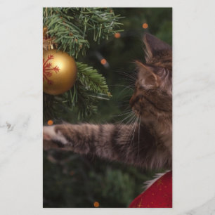 Weihnachtskatze Briefpapier