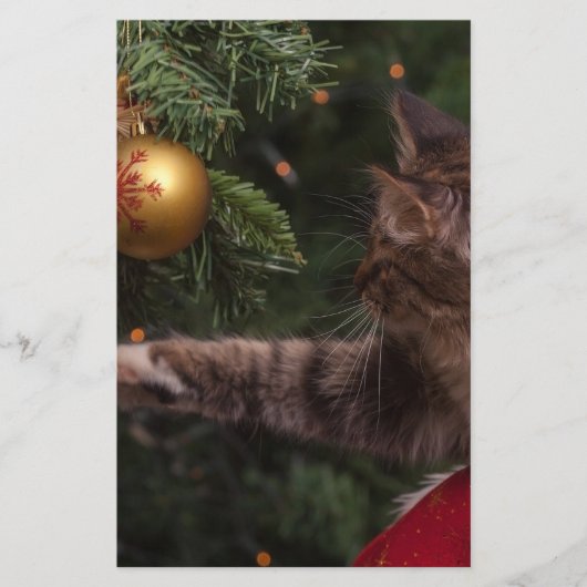 Weihnachtskatze Briefpapier (Vorderseite)