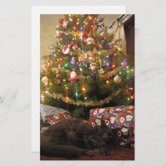 Weihnachtskatze Briefpapier (Vorne/Hinten)