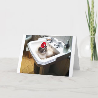 Weihnachtskatze Feiertagskarte