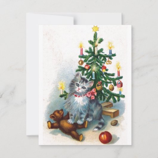 Weihnachtskatze Feiertagskarte (Vorderseite)
