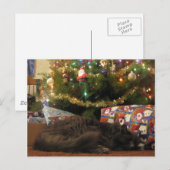 Weihnachtskatze Feiertagspostkarte (Vorne/Hinten)