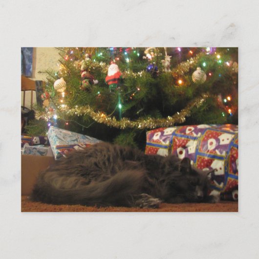 Weihnachtskatze Feiertagspostkarte (Vorderseite)