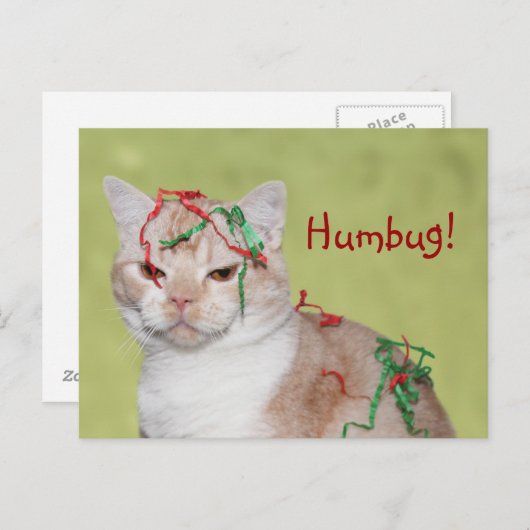 Weihnachtskatze Feiertagspostkarte (Vorne/Hinten)