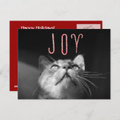 Weihnachtskatze Feiertagspostkarte (Vorne/Hinten)