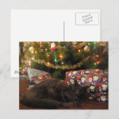 Weihnachtskatze Feiertagspostkarte (Vorne/Hinten)