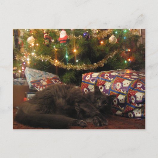 Weihnachtskatze Feiertagspostkarte (Vorderseite)