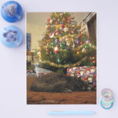 Weihnachtskatze Flyer (Einzeln)
