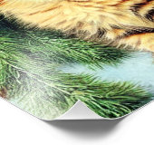 Weihnachtskatze Fotodruck (Ecke)