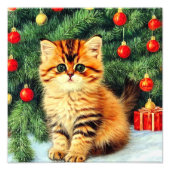 Weihnachtskatze Fotodruck (Vorne)