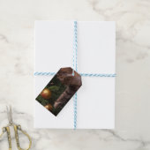 Weihnachtskatze Geschenkanhänger (Mit Garn)