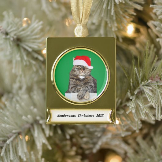 Weihnachtskatze Humbug Foto Banner Metal Ornament (Baum)