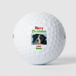 Weihnachtskatze Hund Vater Mama Haustier Foto Golfball
