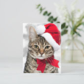 Weihnachtskatze im roten Santa-Hut Feiertagspostkarte (Stehend Vorderseite)