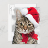 Weihnachtskatze im roten Santa-Hut Feiertagspostkarte (Vorne/Hinten)