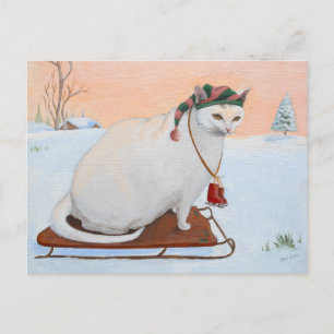 Weihnachtskatze im Schnee Feiertagspostkarte