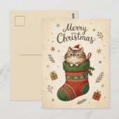 Weihnachtskatze im Strumpf Postkarte (Vorne/Hinten)