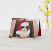 Weihnachtskatze in Faltschachtel Karte (Gelbe Blume)