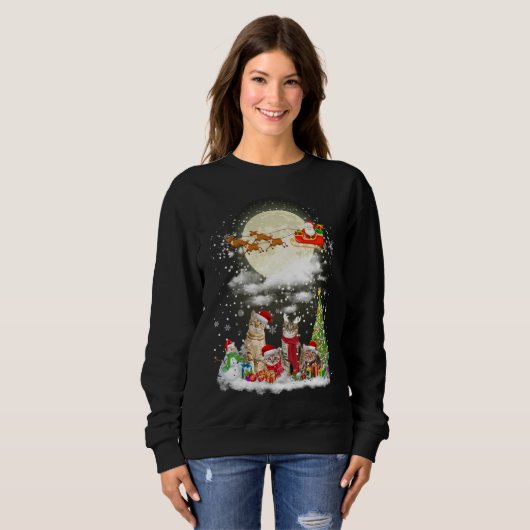 Weihnachtskatze in Weihnachtsmannmütze Frohe Weihn Sweatshirt (Vorne ganz)