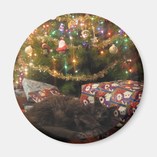 Weihnachtskatze Magnet (Vorne)