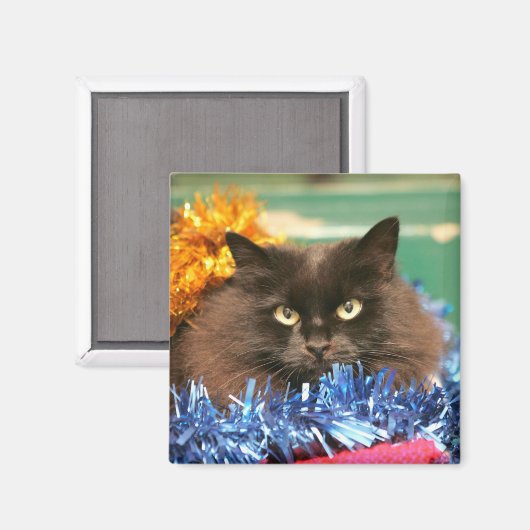 Weihnachtskatze Magnet (Vorderseite/Rückseite)