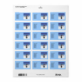 Weihnachtskatze mit Schneeflocken Adressaufkleber (Vorne)