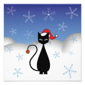 Weihnachtskatze mit Schneeflocken Fotodruck (Vorne)