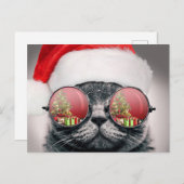 Weihnachtskatze mit Sonnenbrille Postkarte (Vorne/Hinten)