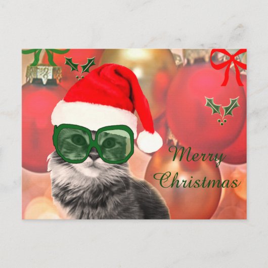Weihnachtskatze mit Weihnachtsmütze Feiertagspostkarte (Vorderseite)
